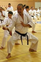 Fujioka Karate Club 40, Alicante Espanja marraskuu 2015
Sensei Toshiro Fujioka 8. dan