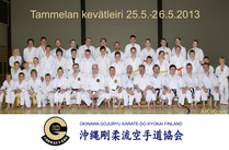 Tammelan kevätleiri toukokuu 2013