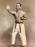 Sensei Nanko Minei