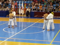 12. European Gasshuku Murcia heinäkuu 2013
Senseit Shigeru Uehara 7. dan ja Toshiro Fujioka 7. dan tekevät Sanchin-kataa. Senseit Keikichi Nakasone 10. dan ja Masataka Muramatsu 9. dan tekevät shimeä.