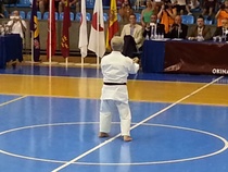 12. European Gasshuku Murcia heinäkuu 2013
Sensei Koei Teruya 10. dan, kata Tensho
